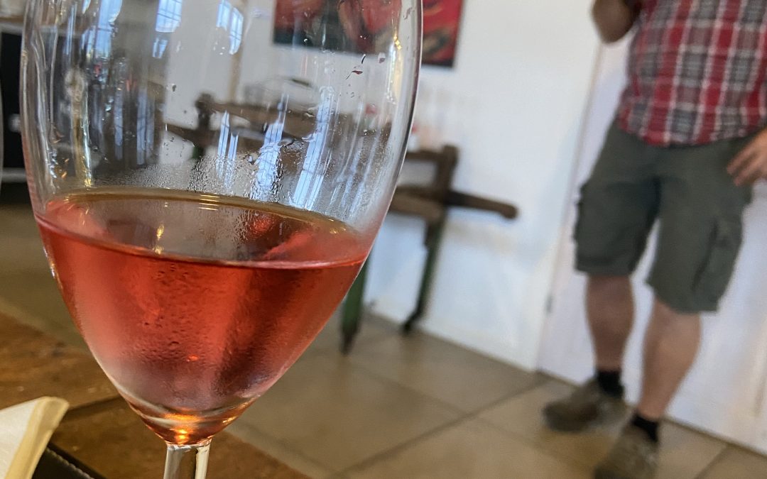 Vinsmagning på Aarø vingård